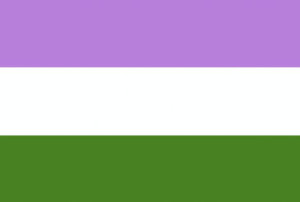 Podkładka pod myszkę LGBT flaga osób Genderqueer