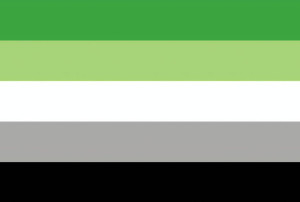 Podkładka pod myszkę LGBT flaga Aromantycznych