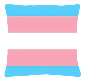 Poduszka LGBT LGBT+ flaga Osób Transpłciowych