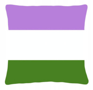 Poduszka LGBT LGBT+ flaga osób Genderqueer