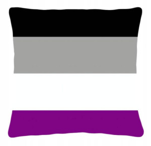 Poduszka LGBT LGBT+ flaga osób Aseksualnych