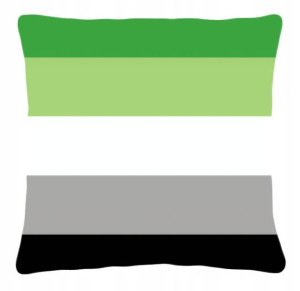 Poduszka LGBT LGBT+ flaga osób Aromantycznych