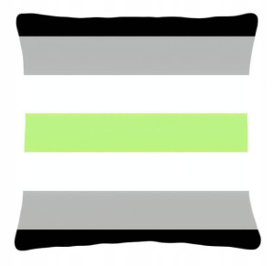 Poduszka LGBT LGBT+ flaga osób Agender