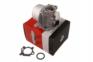 Gaźnik Briggs & Stratton Quantum 799869