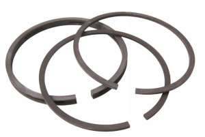 Pierścienie Briggs B&s 87,30 Mm 391780 499996