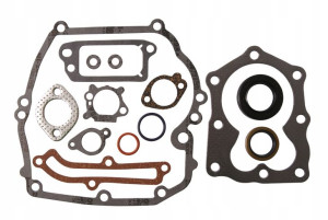 Zestaw Uszczelek Uszczelki Briggs B&s Quantum