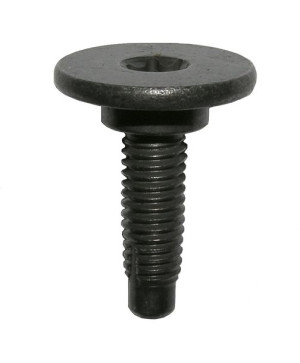 Śruba Mocująca Do Fiat Lancia Alfa 45224