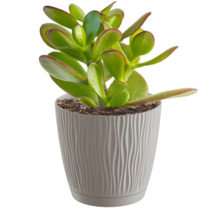 Doniczka Okrągła z Podstawką Sandy P, 12,9 cm - Mocca