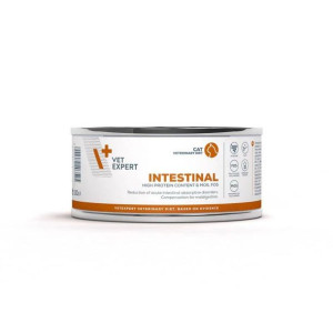 VETEXPERT Intestinal Cat 100g