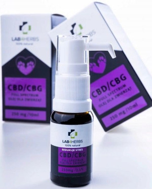 Olejek CBD dla psa kota 2,5% konopny