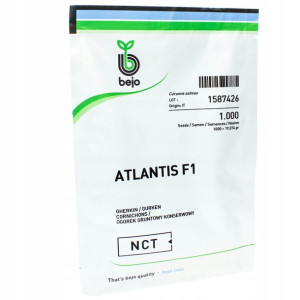 Bejo Ogórek Gruntowy Atlantis F1 Nas Holenderskie 1tys