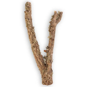 Drzewko Z Dębu Korkowego 60cm