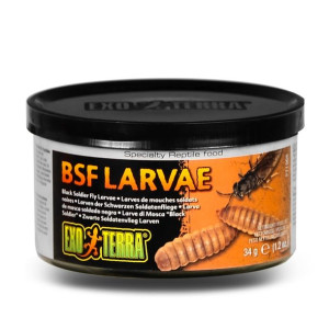 Exo Terra Larvae - Pokarm W Puszce Larwy