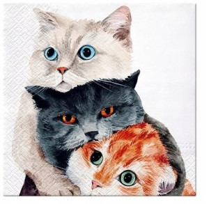 Serwetki Koty 33x33cm 20szt