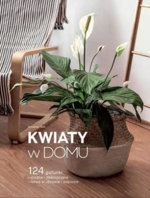 Kwiaty w domu Jarosław Rak