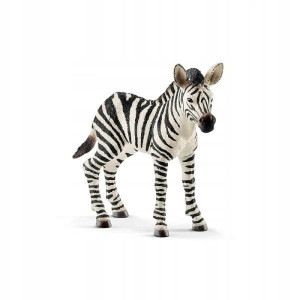 Zebra źrebię