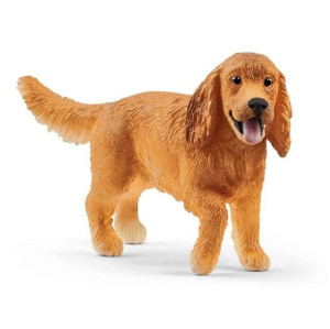 Angielski Cocker Spaniel