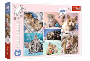 Puzzle 100 W kocim świecie TREFL