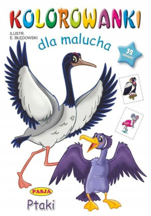 Kolorowanki dla malucha Ptaki