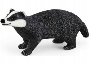 Borsuk