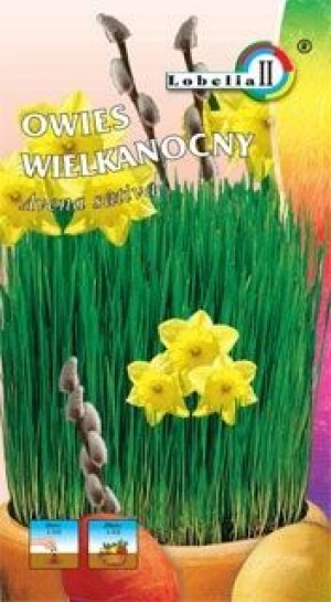 OWIES WIELKANOCNY symbol wiosny nasiona