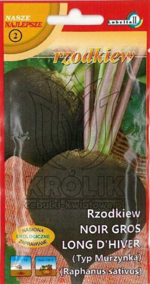 Rzodkiew czarna NOIR GROSS LONG d'HIVER nasiona