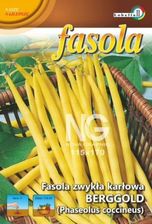 Fasola BERGGOLD - ZŁOTA GÓRA szparagowa nasiona