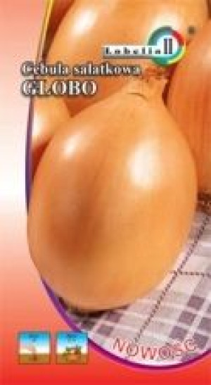 Cebula GLOBO olbrzymie cebule 1kg nasiona