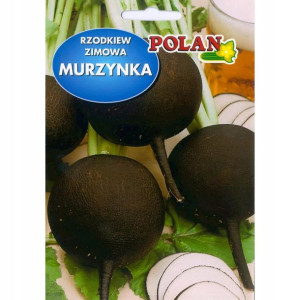Rzodkiew zimowa MURZYNKA czarna rzepa nasiona