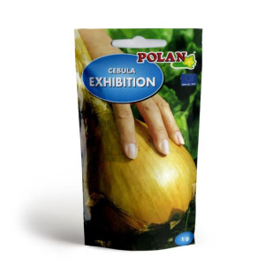 Cebula EXHIBITION olbrzymie cebule 1kg nasiona