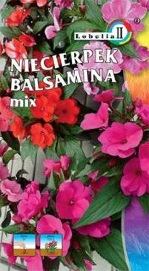 Niecierpek BALSAMINA nasiona do pojemników