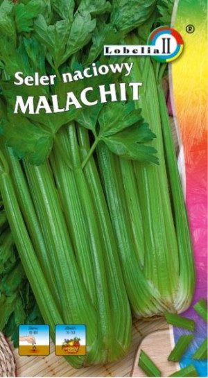 Seler naciowy MALACHIT nasiona