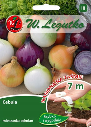 TAŚMA !!! CEBULA mieszanka odnian nasiona
