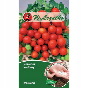 OTOCZKI !!! Pomidor MASKOTKA nasiona