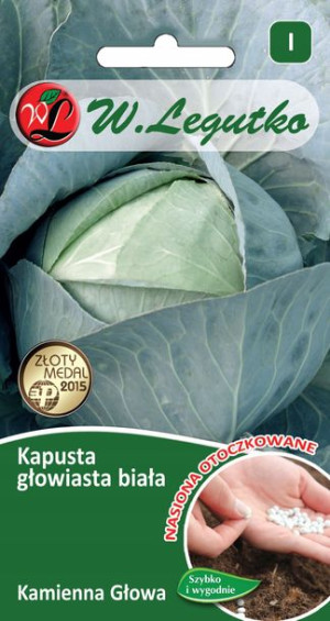 OTOCZKI !!! KAPUSTA późna KAMIENNA GŁOWA nasiona