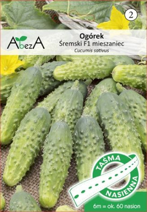 TAŚMA !!! Ogórek ŚREMSKI F1 6m nasiona