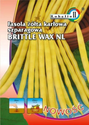 Fasola szparagowa BRITTLE WAX żółta nasiona