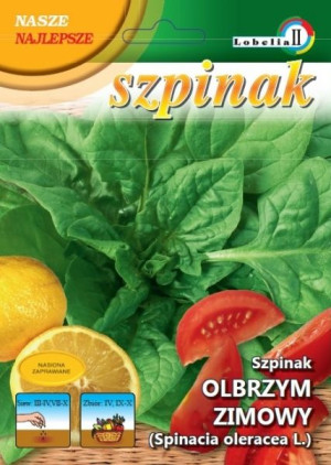 Szpinak OLBRZYM ZIMOWY zimujący nasiona