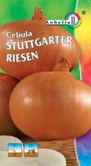 Cebula STUTTGARTEN RIESEN duże cebule nasiona