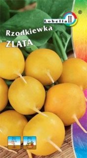 RZODKIEWKA ZLATA żółta nie parcieje nasiona