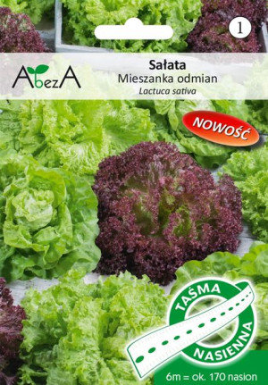 TAŚMA !!! SAŁATA MIX odmiany kolorowe 6m nasiona