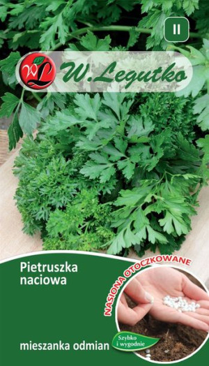 OTOCZKI !!! PIETRUSZKA naciowa MIX odmian nasiona