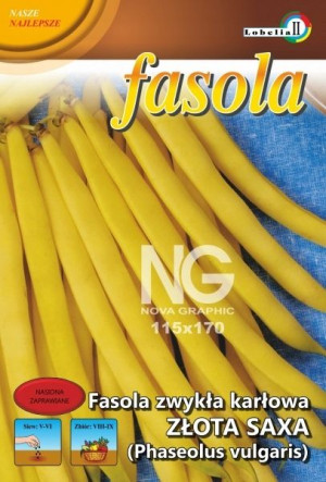 Fasola ZŁOTA SAXA szparagowa bezwłóknista nasiona