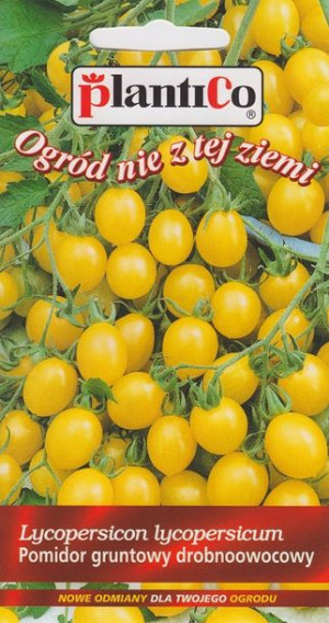 Pomidor OLA POLKA drobnoowocowy cherry nasiona