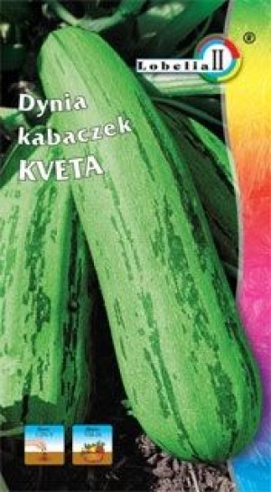 Kabaczek KVETA zielony wczesny nasiona
