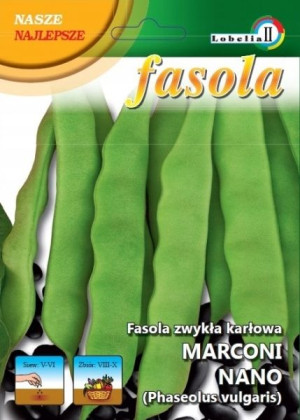 Fasola MARCONI karłowa szerokostr. zielona nasiona