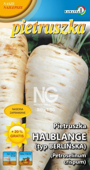 Pietruszka BERLIŃSKA póżna nasiona