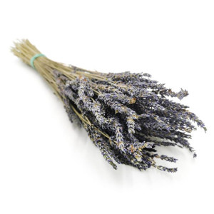 Lawenda (Lavandula intermedia) - bukiet