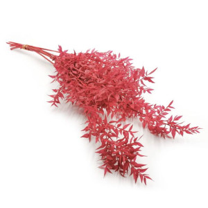 Ruskus stabilizowany flieder (Ruscus) - bukiet