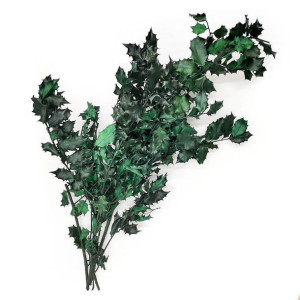 Ostrokrzew zielony stabilizowany (Ilex) - bukiet